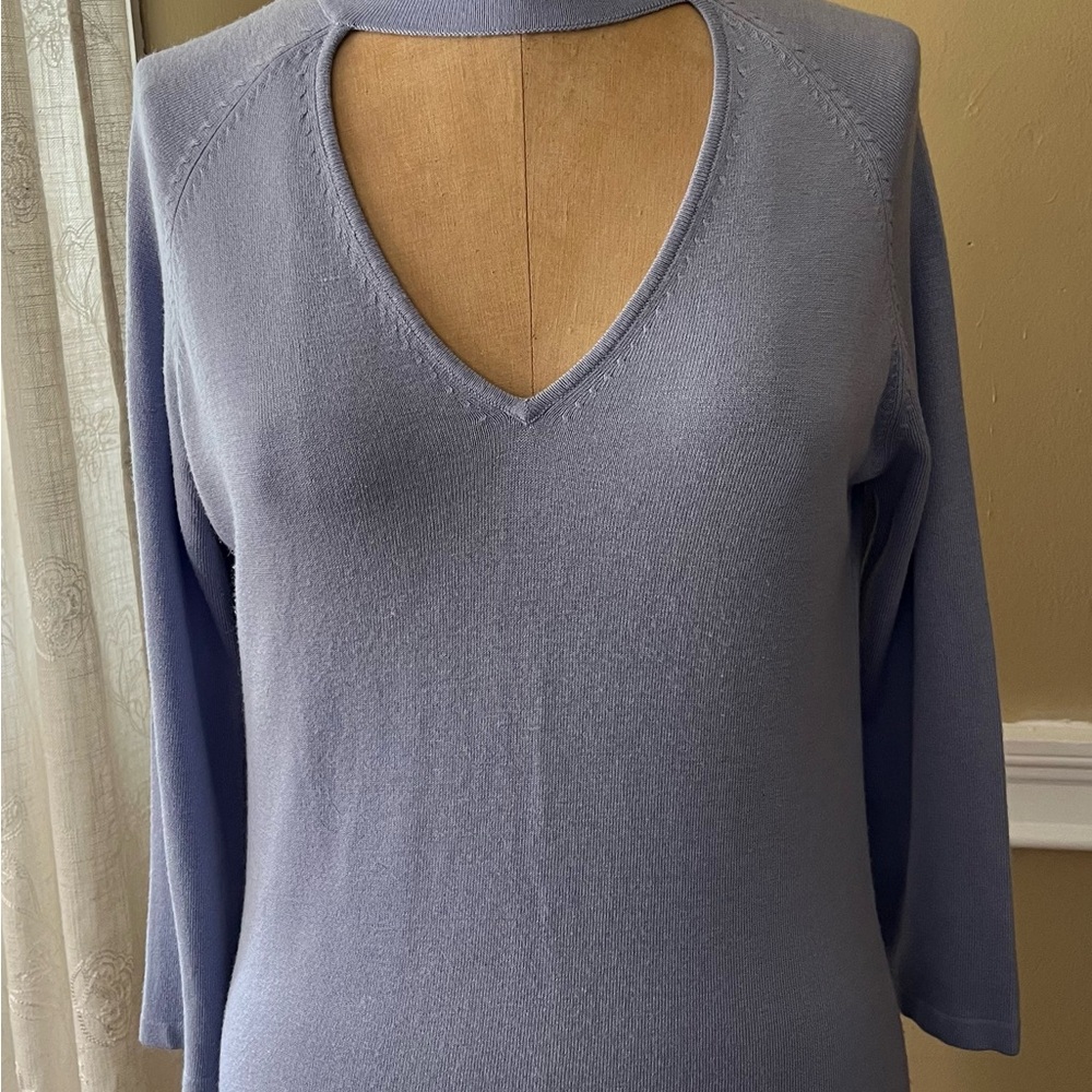 Chic Lavender V-Neck Women's Top